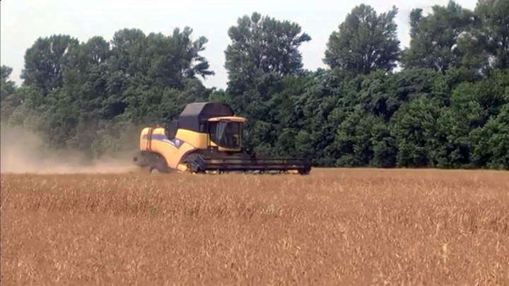 Ukraine und Litauen verhindern Abtransport von ukrainischem Getreide auf dem Seeweg